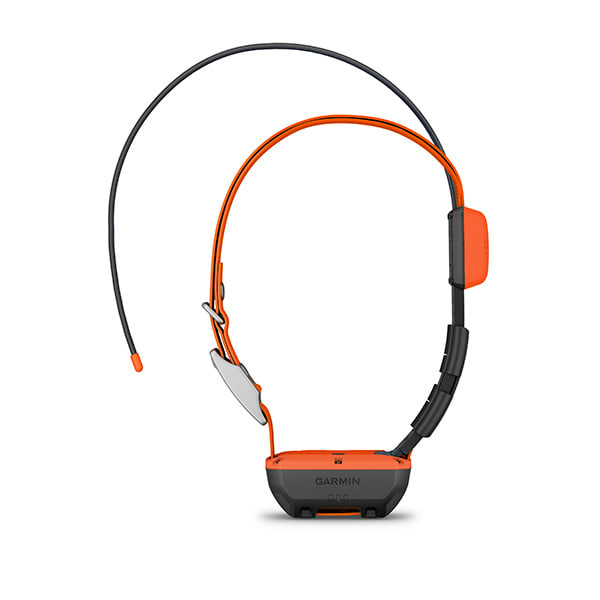 Alternative view of Alpha TT 25 Dog Collar and Alpha LTE Dog Tracker