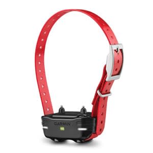 Alternative view of PT 10 Dog Device