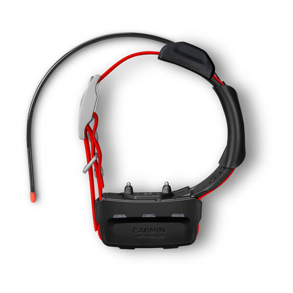 TT 15X Dog Collar